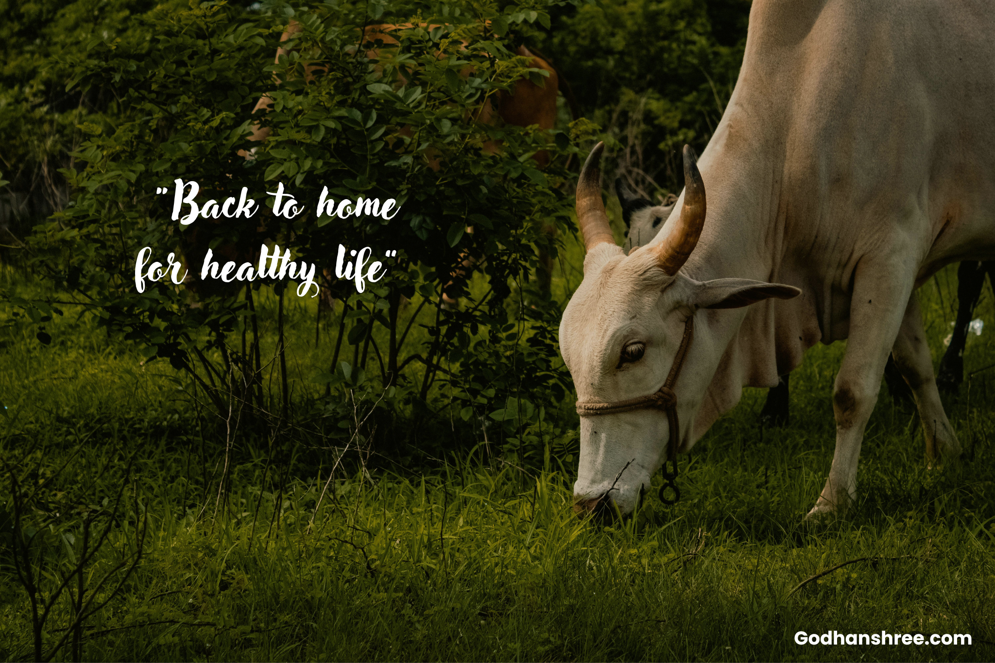 Add a heading.png (1)